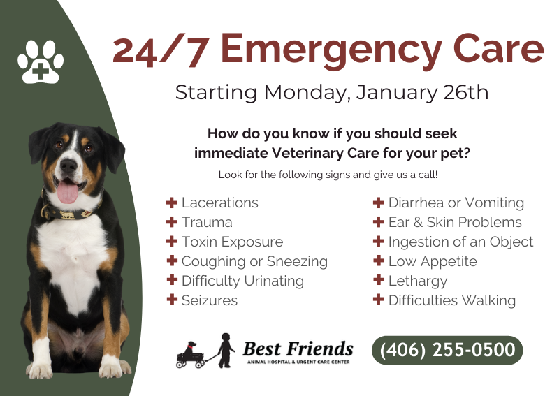 Carousel Slide 1: 24/7 Emergency Care Now Available